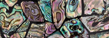 Abalone