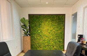 Preserved Wall moss