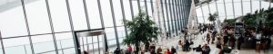 Commercial Indoor Landscaping