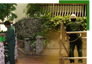 Importance of Commercial Indoor Landscape Maintenance