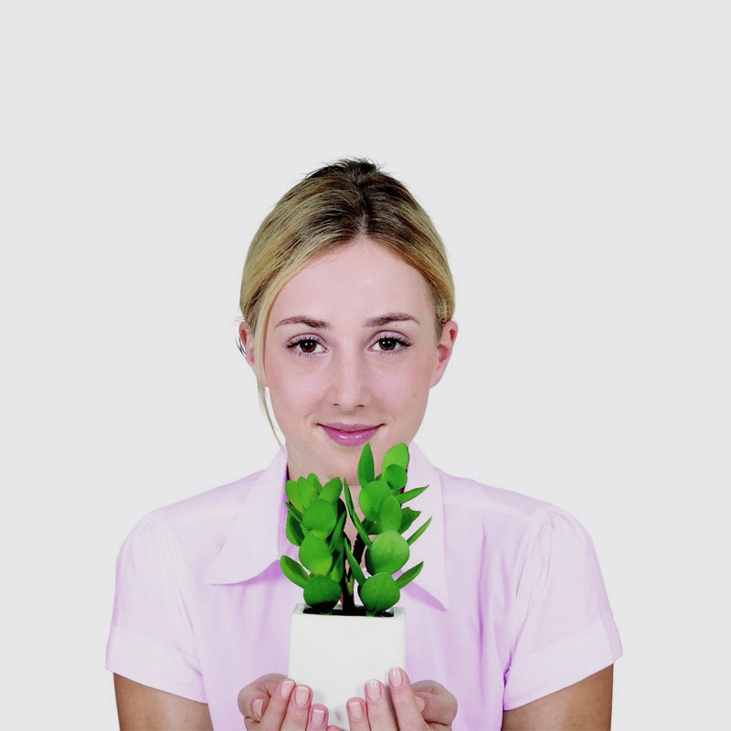 Live-Plants