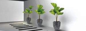 indoor plant pots