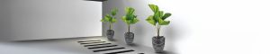 Plant pots