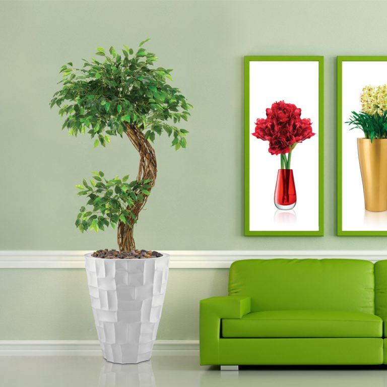 Live, Preserved & Artificial Plants Planting Pots Dubai Green Plants