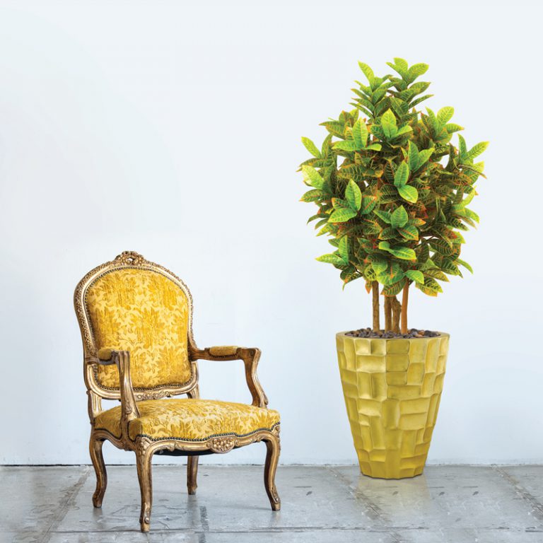 Artificial Plants Online in Dubai Buy Artificial Indoor Trees