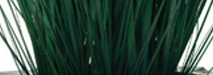 STEM