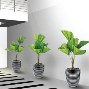 Plant pots