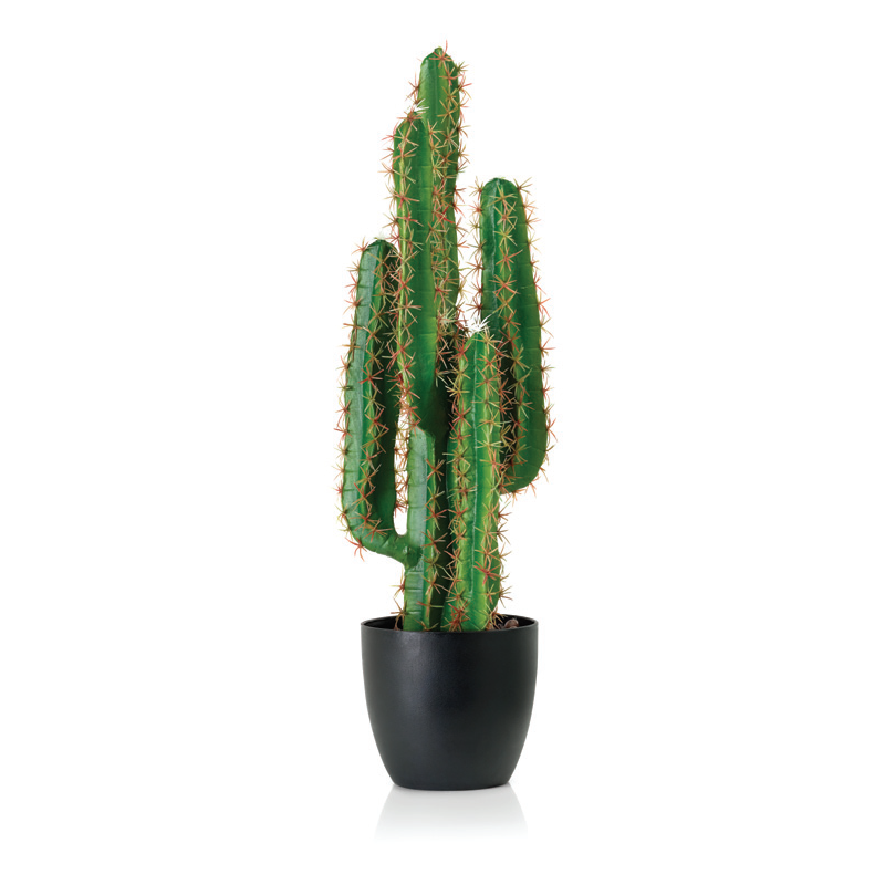 Artificial Cactus Plants | Buy Real Feel Cactus Plant