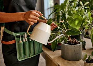 Plant Maintanence