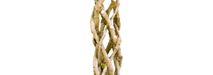stem