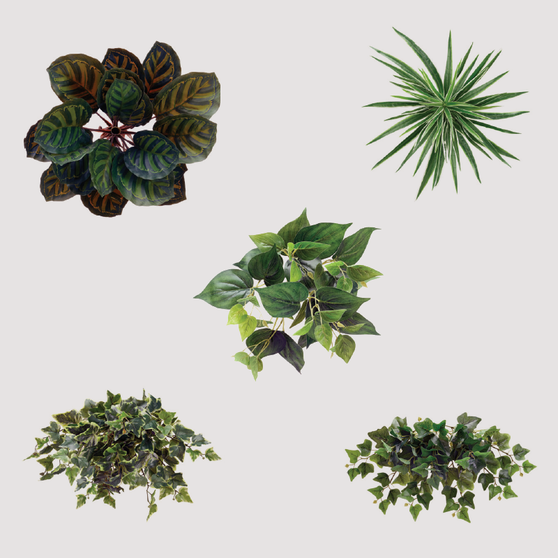 wall-2